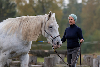 Pferde und Körperbewusstsein